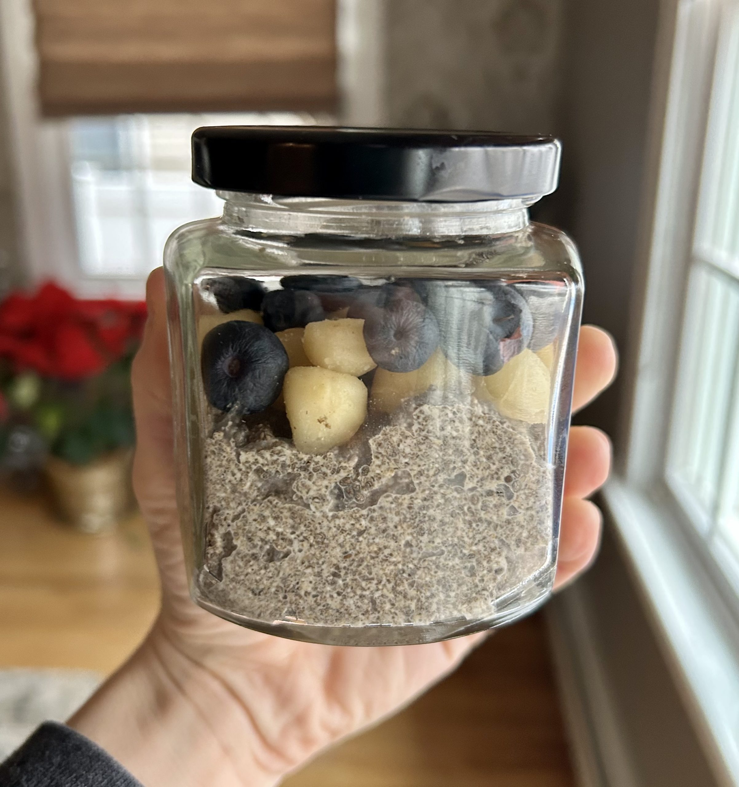 Blended Chia Seed Pudding Lifestyles By Liz