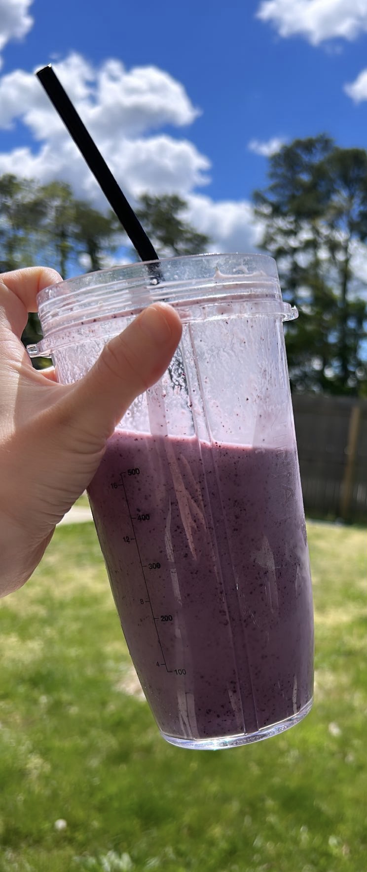 Blueberry Breakfast Smoothie - Lifestyles By Liz
