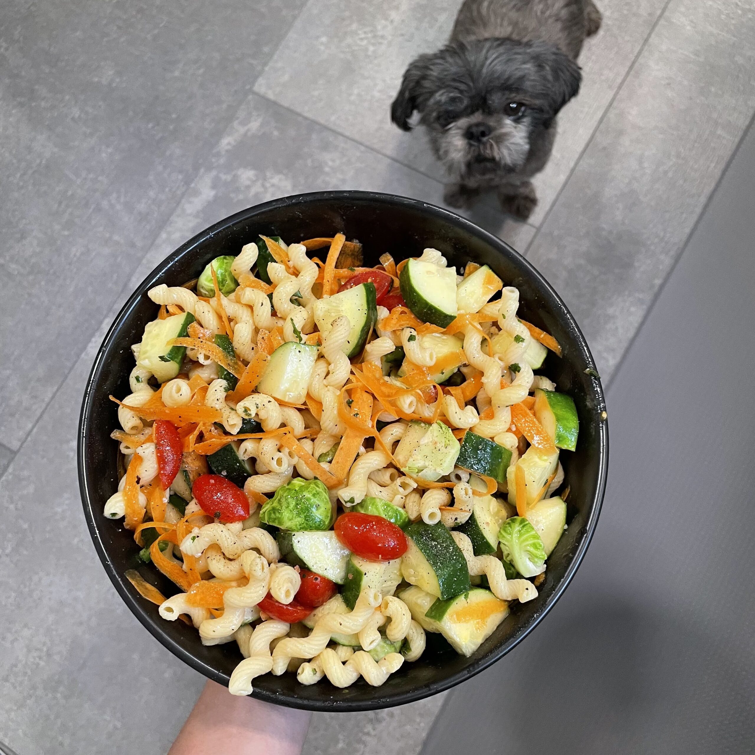 Pasta Salad - Lifestyles By Liz