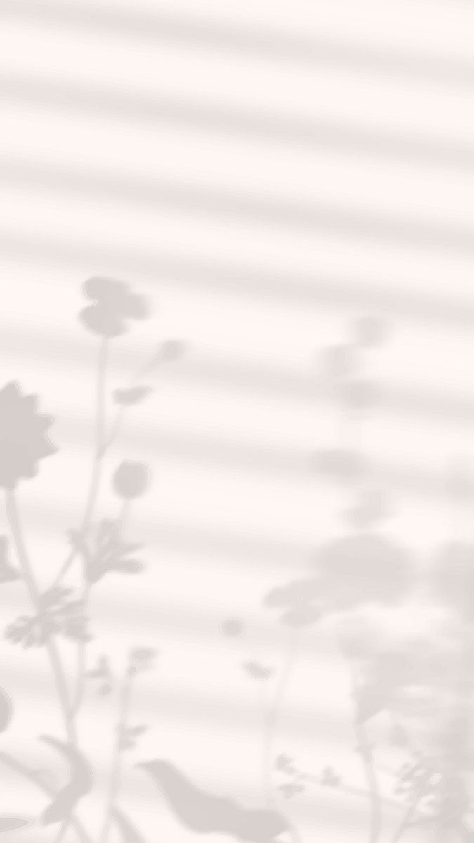 A calm wellness setting for Lifestyles By Liz programs