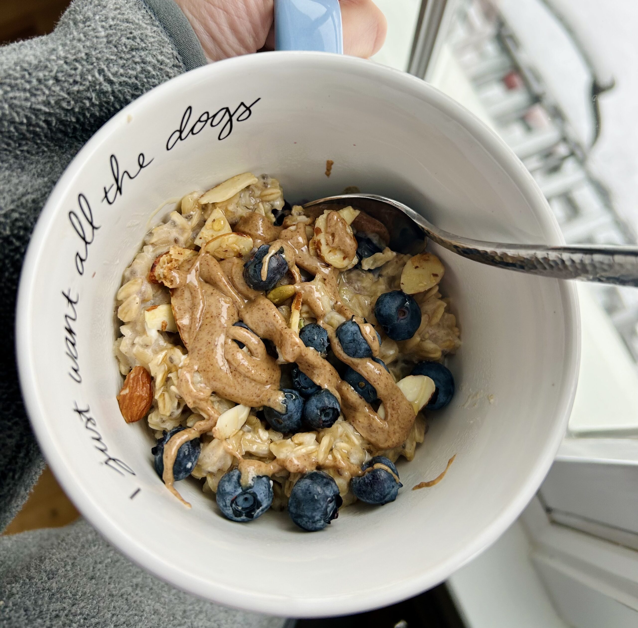 Lemon Blueberry Oatmeal - Lifestyles By Liz